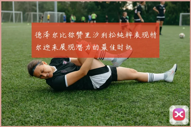 德泽尔比称赞里沙利松纯粹表现特尔迎来展现潜力的最佳时机