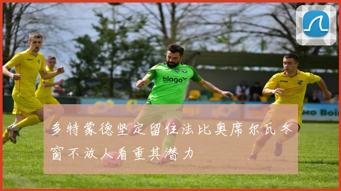 多特蒙德坚定留住法比奥席尔瓦冬窗不放人看重其潜力